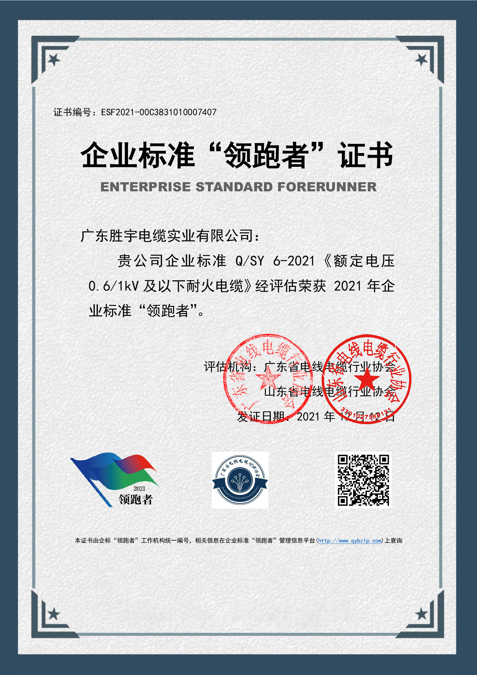 企业标准领跑者证书3